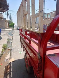 ستوته • بعيره
