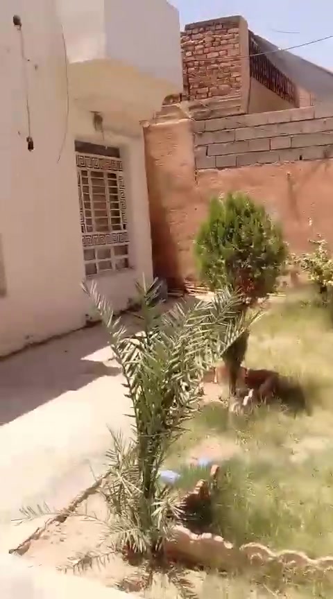 للايجار بيت في الخضراء بالقرب من جامع الزبير غرفتين نوم وصاله واستقبال ومطبخ وكراج وحديقة الايجار قفل 300 للتواصل مع صاحب الدار ***********
