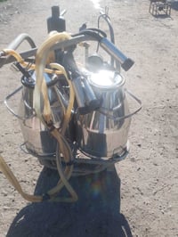 حلابه للبيع شغاله الاتصال على07719444669