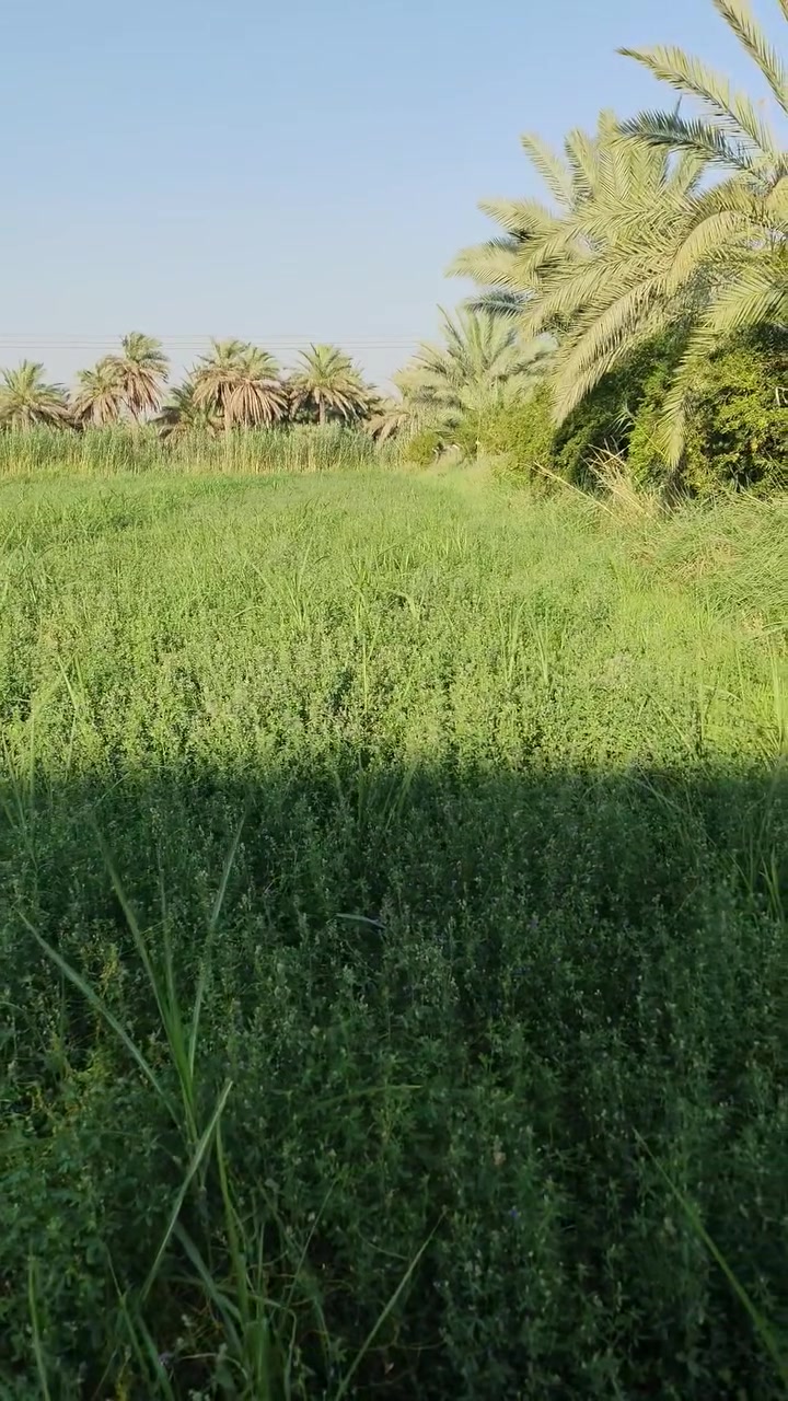 السلام عليكم قطعه ارض للبيع مساحه 300 متر طابو صرف زراعي خدمات كامله مكان القطعه في محافظه بابل ناحيه المدحتيه قرب الامامين الظاهر والمظهر عليهما السلام سعر القطعه 27 مليون وبيها مجال استفسار   ***********
