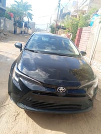 كورلة هايبرد • ٢٠٢٤ • وارد امريكة