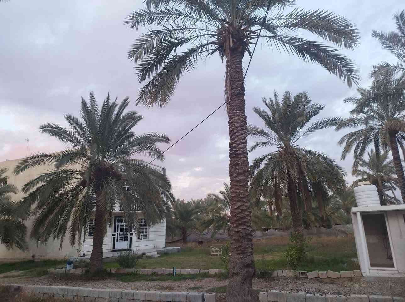 سلام عليكم يوجد دونمين ونص طابو ملك صرف المكان المدائن جسرديالى التويثة 
الاستفسار الاتصال ***********
