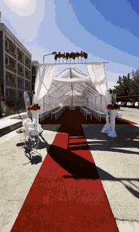 لاتأجير كراسي والجوادر
كافت مناسبات  وبسعار مناسبه 
حله /
ورديه خارج/
الحجز /٠  ***********
توصيل مجاني 😍
