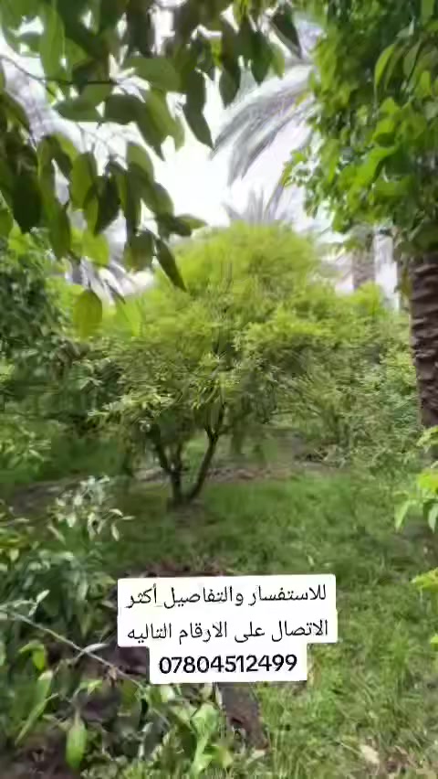 بستان للبيع
المساحة 2500متر واجهة 24م نزال 100م 

طابو زراعي سند 25 على طابو المحمودية 

يصلح سكن او استثمار

السعر 180 مليون د. ع وقابل للتفاوض

📍الموقع : بغداد _ الدورة _ عرب جبور

 للاستفسار والتواصل: ‏‪***********
‏‪

 #عقارات_بغداد #بستان #اكسبلور #f
