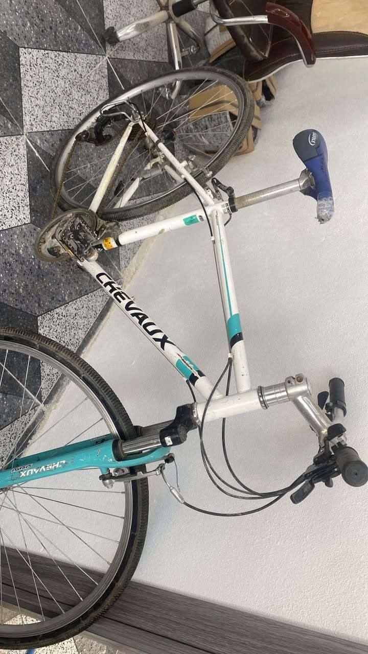 السلام عليكم بايسكل للبيع سي 700
مكان حي انتصار نضيف 90 /100 سعره 80 
وبي مجال توصل خاص متوزي 
حيل حيل


**إذا كنت صاحب هذا الإعلان وتريد حذفه لأي سبب، رجاءا أرسل رسالة إلى الدعم الفني**