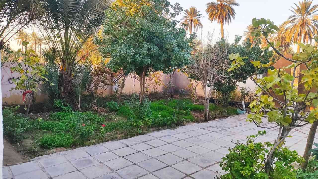 السلام عليكم قطعة أرض للبيع مع الدار بناء قديم المساحة الكلية 2500 متر كافة الخدمات متوفرة طابو اسود بستنة موقعهاا منطقة الصويحة قريبة على مركز المدينة السعر 60 / واتساب ***********
