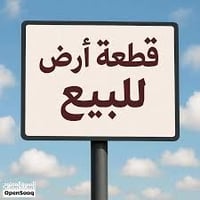 منطقه الالف • ارض ركن • ٣٣١٫٥م