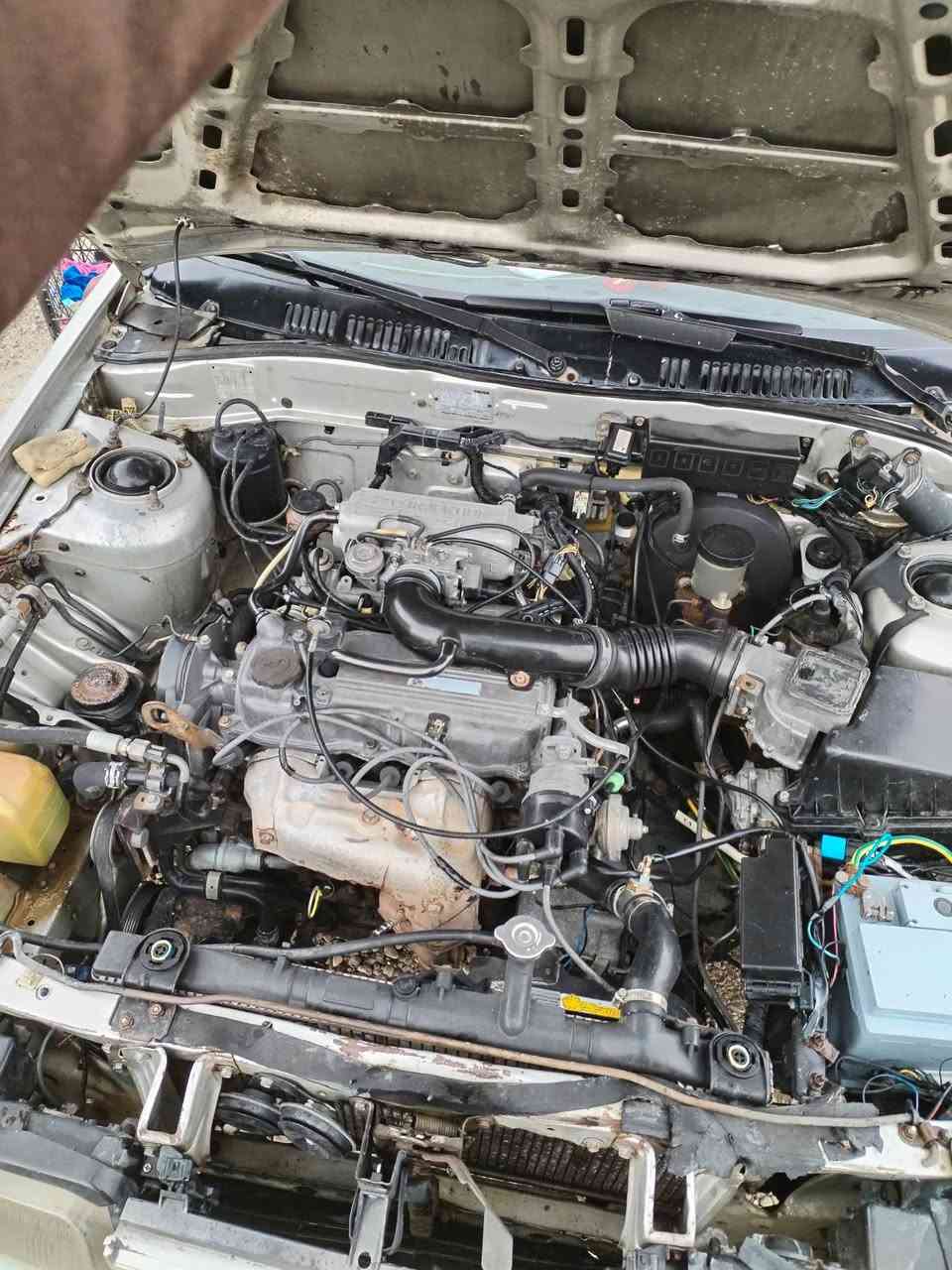 مازده موديل 89 رقم نينوى ل29 حجم626 /8بخ شرط مكينه وكير شرط سعر 37 وبيه مجال للطيبين كياره الحاج علي مراوس هم يرهم فكتره نضيفه


**إذا كنت صاحب هذا الإعلان وتريد حذفه لأي سبب، رجاءا أرسل رسالة إلى الدعم الفني**