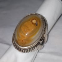 داودي • صياغه ثقيله • حجم راهي