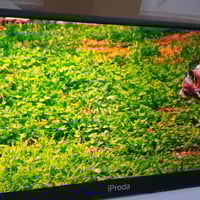 شاشة ١٥,٦ • جديدة • توصيل