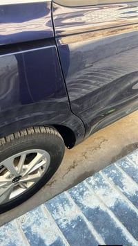 كرنفال • ٢٠٢٢ • وارد امريكي