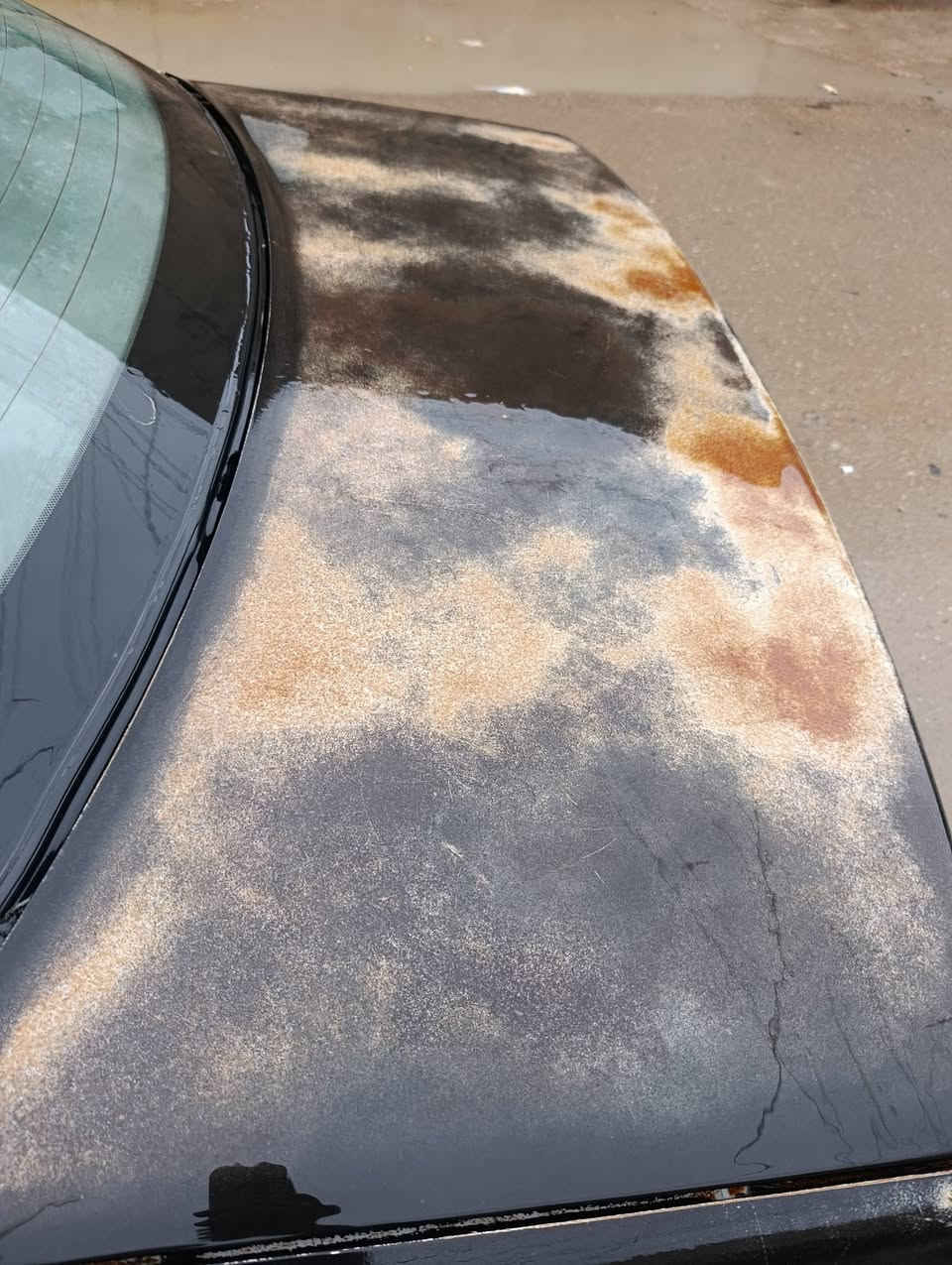 سلام عليكم برنس موديل95بلاديه كلهه شغاله رقم بغدادفقط ألنمره مال البك اتاخر شويه28بيهه مجال عنوان بغداد الحصوه مال ابوغريب***********بي وات ساب
