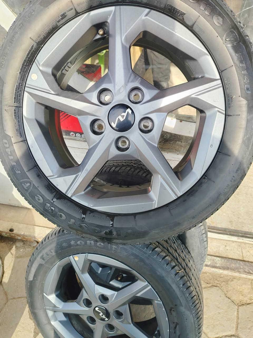 تخم ويل كب سيراتو ٢٥ للبيع او مراوس واسط قضاء الصويره السعر ٣٧٥ ***********
