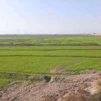 قرب جسر فهد • ١٦٠ دونم • عقد زراعي