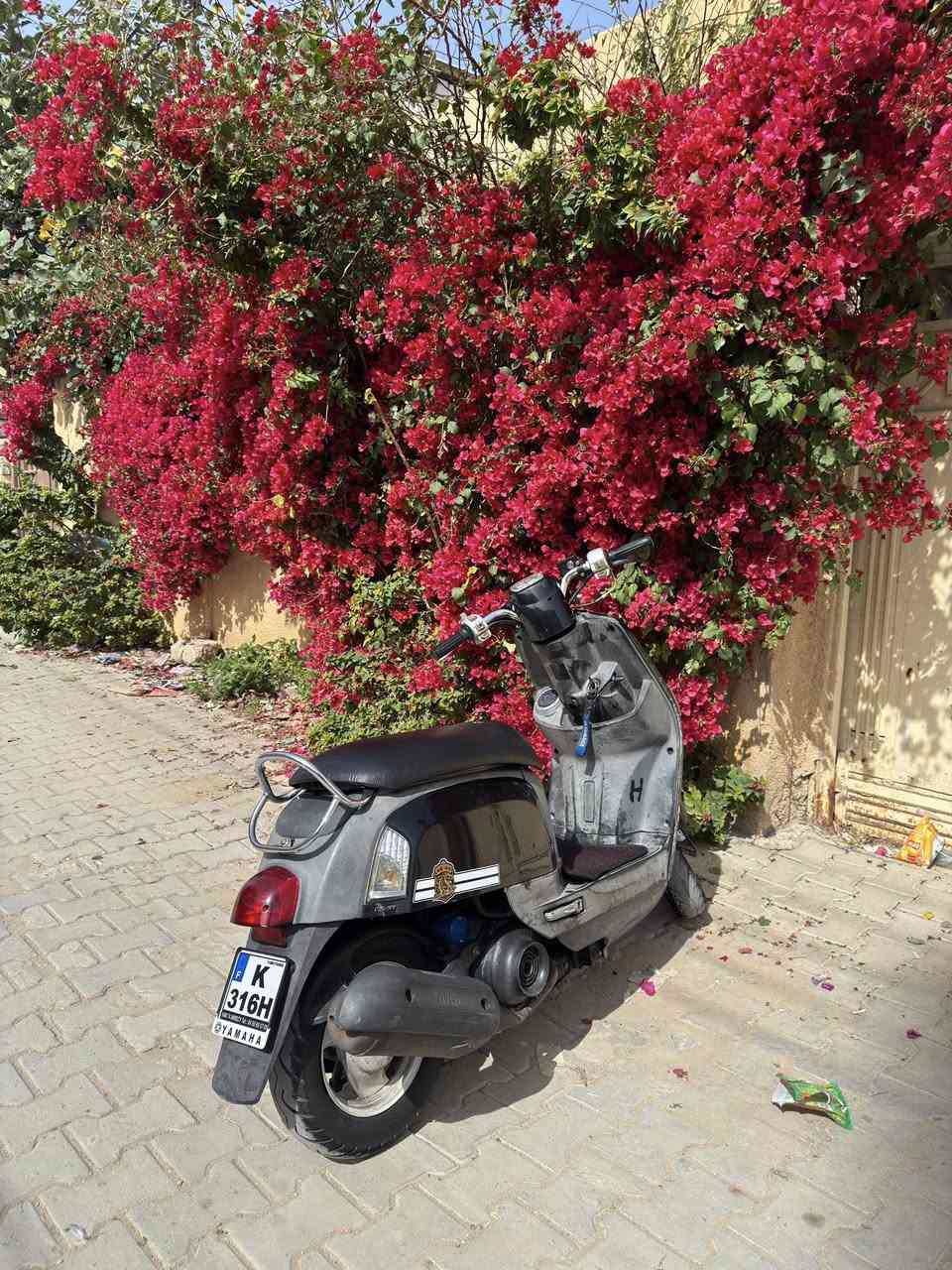 للبيع ماكس بوليس كربلاء حي العامل 850وبيها مجال


**إذا كنت صاحب هذا الإعلان وتريد حذفه لأي سبب، رجاءا أرسل رسالة إلى الدعم الفني**