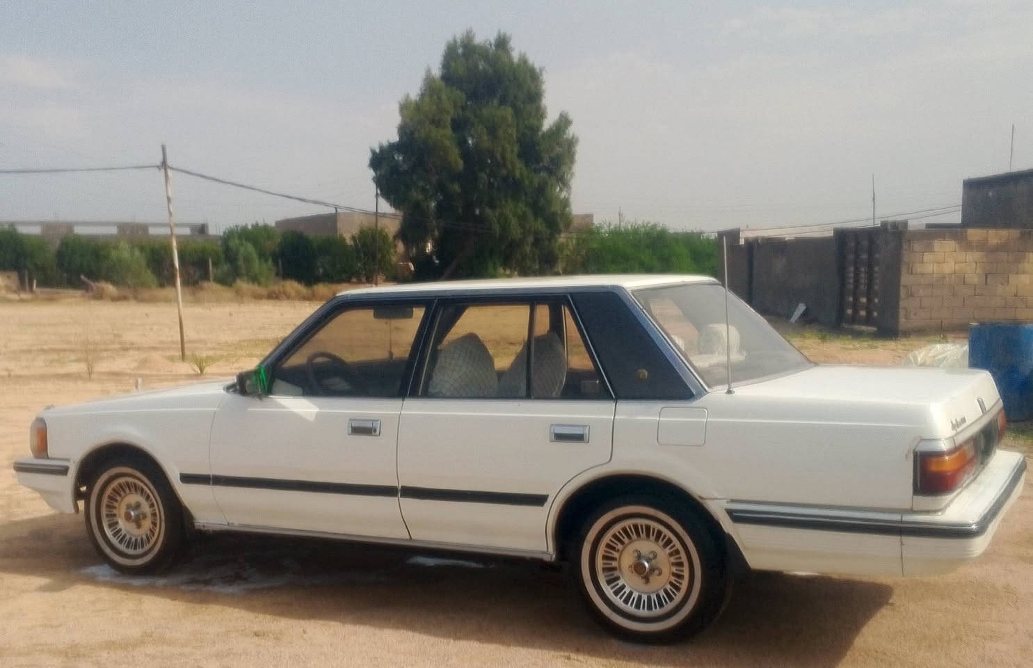 مكانها بصره سفوان 
السعر 48 وبيها مجال قليل 
رقم الهاتف ***********
