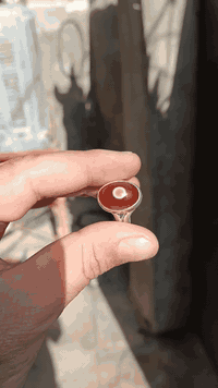 سليماني هندي اصلي البيع تصال على الرقم ‏‪07776890017‬‏