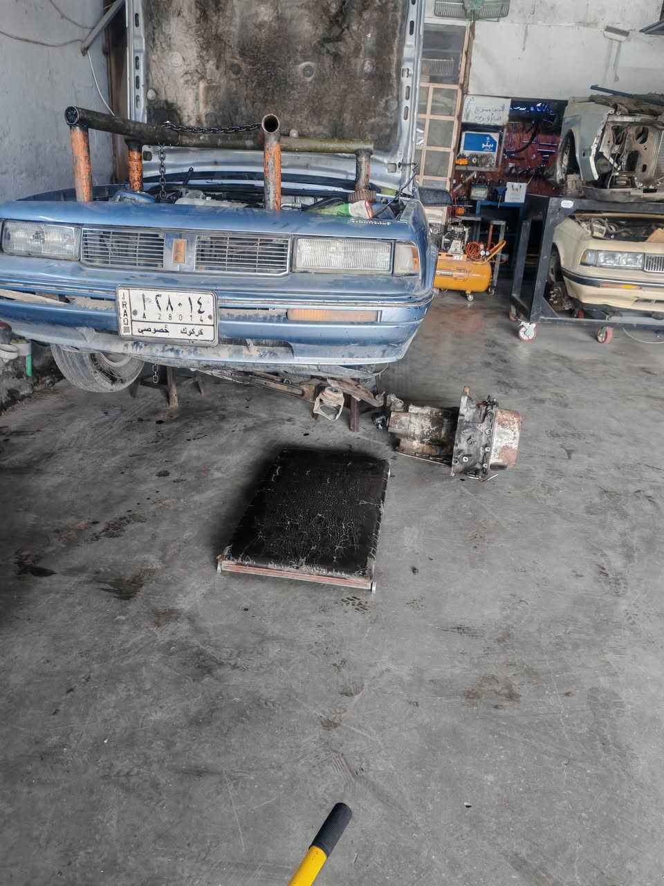 السلام عليكم تم تجفيت كيرات اولدز وبونتياك شغل رقم 1 للاخوه من محافظه البصره والسماوه وكركوك  وتم تشغيل جميع الكيرات النمره الرابعه مع ضمان الشفل 
متوفر جميع غراض اولدز وسلبرتي حاويه جديد تفصيخ 
يوجد خدمة  توصيل لكافة المحافضات
العنوان موصل جانب الايسر سايدين البراوي 
***********
***********
