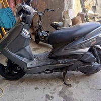 سكنس فحل • ياباني • اوراق كامله