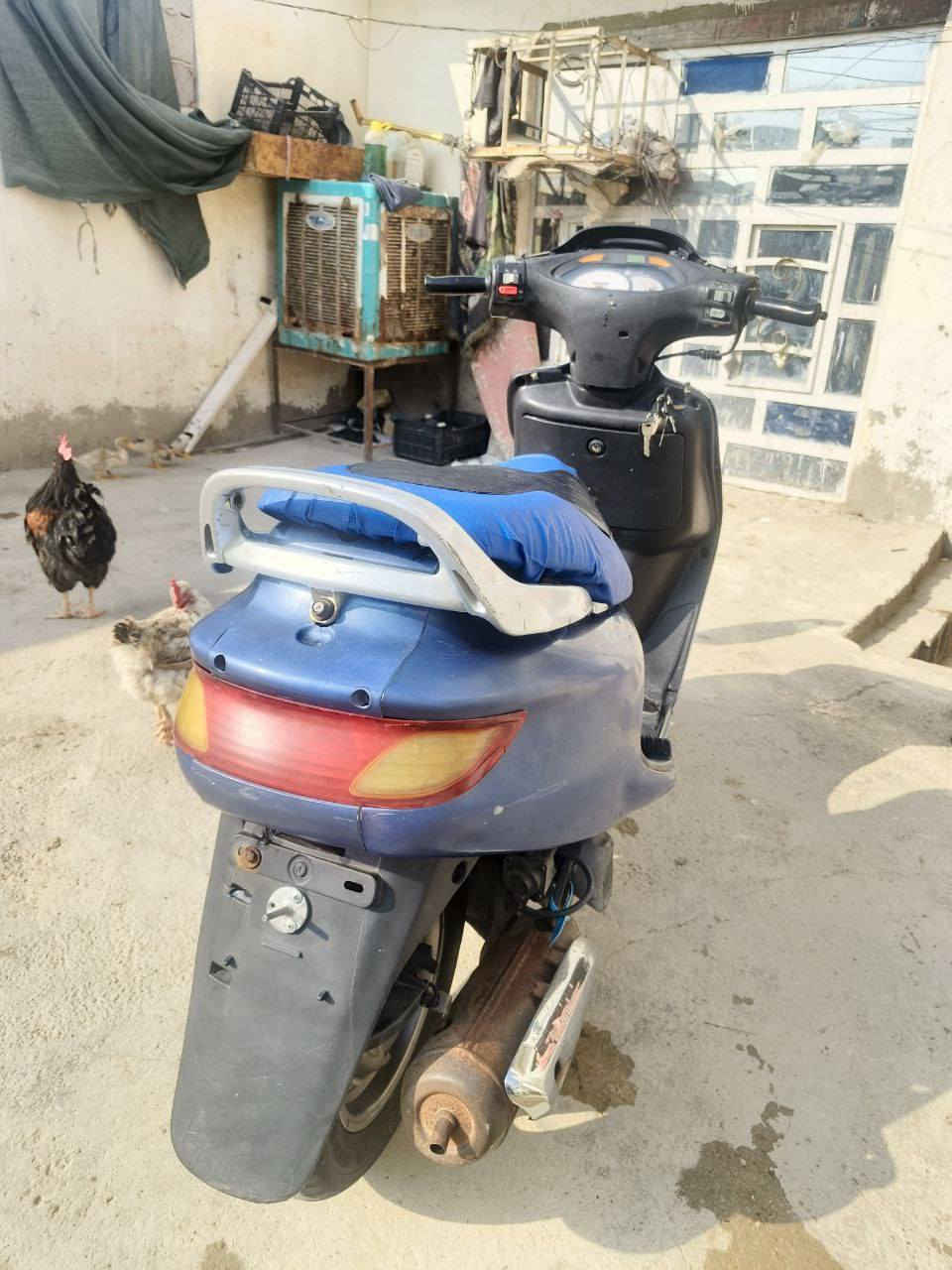 دراجه مال رمبه) 
سلام عليكم دراجه فراشه فحل نكره سلف هندر هورن لايت عالي ناصي بك لايت دراجه برغي ما ناقصهه ((( ما مفتوحه))   
تجي او تفحص وين ما ايعجبك مكاني جلبيه قرب جامع شاكر  
***********        سعرهه 550
