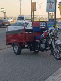 ستوته • مطلوب سايق • دور شرطه