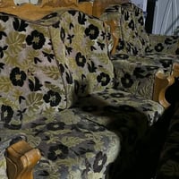 كنب • ٤ قطع • تخم تسكام