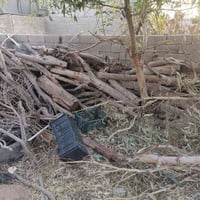 للبيع • ديكور • تفاصيل ناقصة