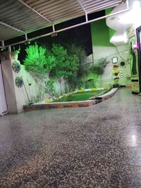 مقابيل السياسين • ٣٠٠م • طابو