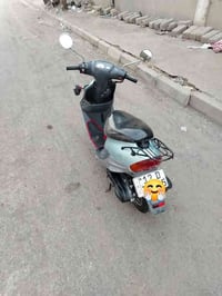 نحلة 9 • مرقم كامل • موصل حي