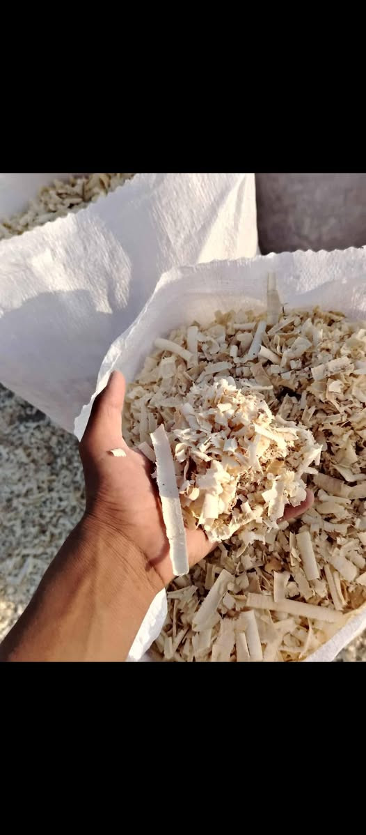 السلام عليكم توجد نشاره للبيع درجة اولى ونضيفه وبيضه وخاليه من الرطوبه وترس فول الاتصال *********** اكو توصيل لجميع المحافظات
