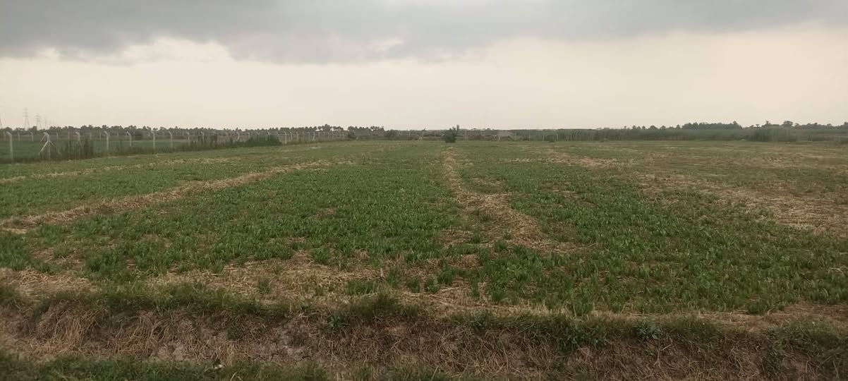 السلام عليكم ورحمة الله وبركاته
يوجد دونمين الئ ربع طابو زراعي سند 25يتحول باسم المشتري الارض مسيجه المدائن سلمان باك الجعاره بشارع الكامرات شارع المزارع مخدومه بتبليط وكهرباء قريبه عليها وبسعر مناسب للستفسار اكثر التواصل علئ الرقم التالي
*********** او اتصال واتساب
