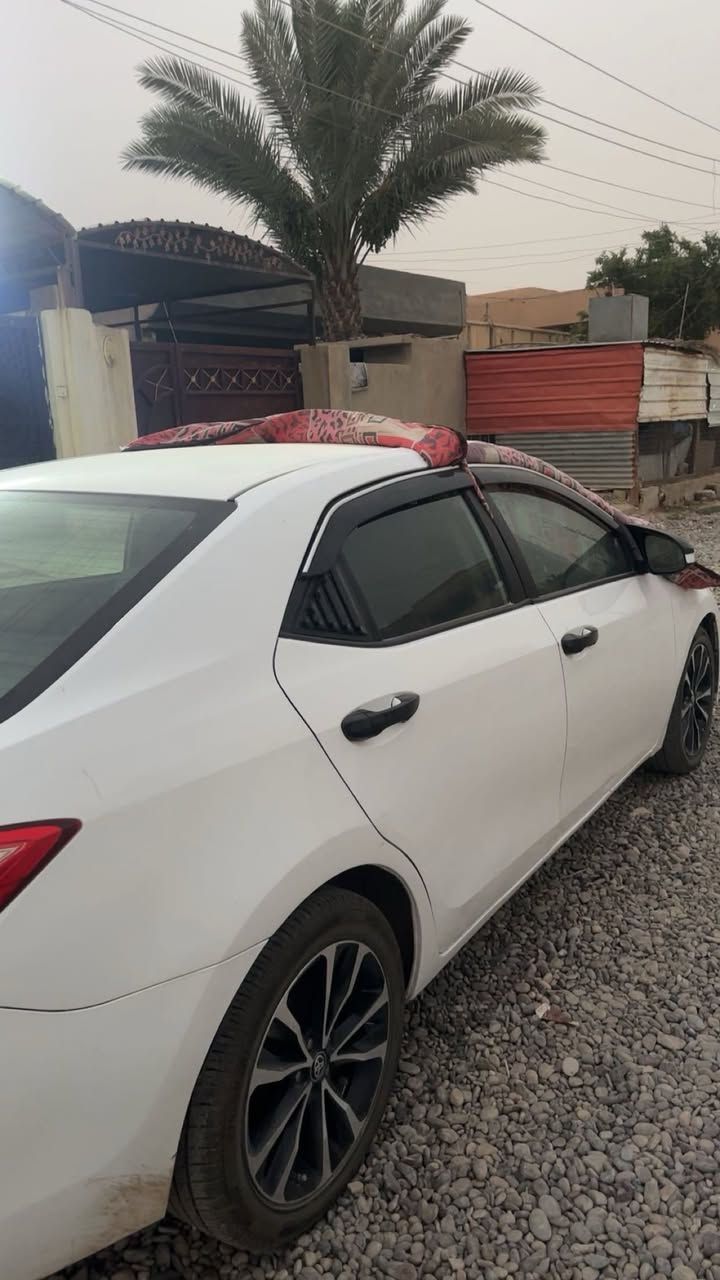 للبيع كورلا 19 رقم بغداد با اسمي
موصفات Le
وارد كندي 
ارضيه جلد 
كير محرك شرط 
صدر خلفي امامي نضيف 
طخم تاير جديد 
بيها 5 قطع صبغ بدون دواخل بدون ايرباك 
بيها إصبعين داخل بل جاملغ الأمامي 
ماشيه 190 km 
للاستفسار *********** 
ما متواجد عل فيس الشراي يتصل 
مكان السياره تكريت 
سعر 127 وبي مجال قليل
