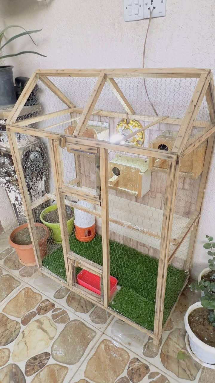 متاح قفص يرهم طيور حب فنجس قفص جديد مرتب سعرة35  كامل كلوب بي وثيل اصطناعي و3 حلات ومكان اكل وماي


**إذا كنت صاحب هذا الإعلان وتريد حذفه لأي سبب، رجاءا أرسل رسالة إلى الدعم الفني**