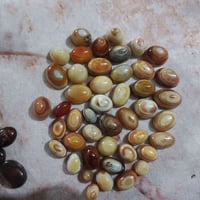 حلو • مرتب • للبيع