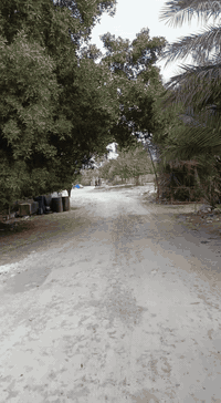 السلام عليكم 
بيت طابو صرف المساحة بالسند 400 المكان ناحية الوحدة االمثلث قرب جسر الزجاجية للاستفسار الاتصال على الرقم ***********
