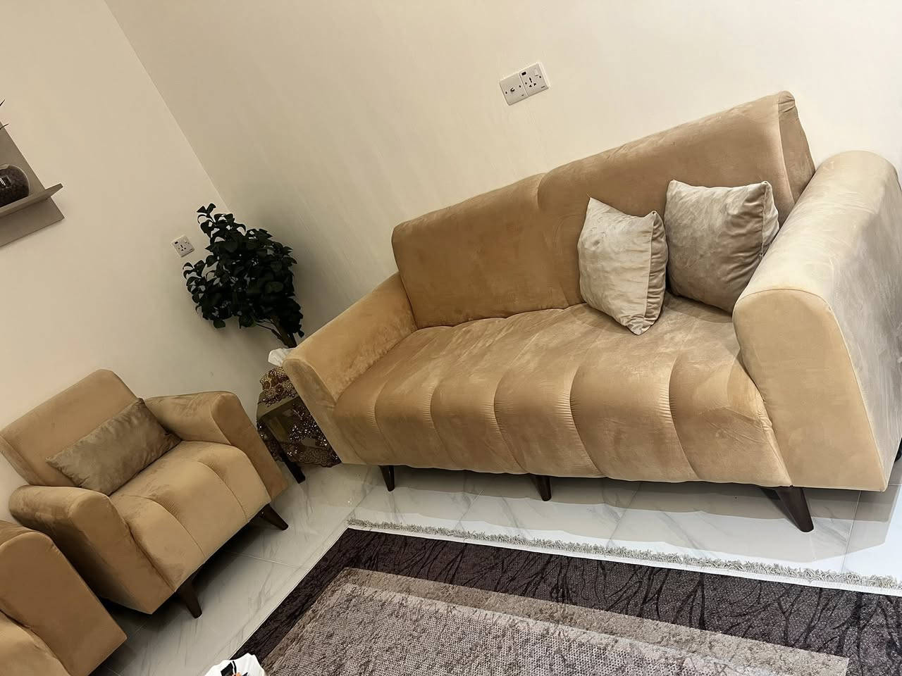 تخم ١٠ مقاعد استعمال أسبوع
سعر شراء ٦٥٠ للبيع ٥٥٠ 
طبلات هديه


**إذا كنت صاحب هذا الإعلان وتريد حذفه لأي سبب، رجاءا أرسل رسالة إلى الدعم الفني**