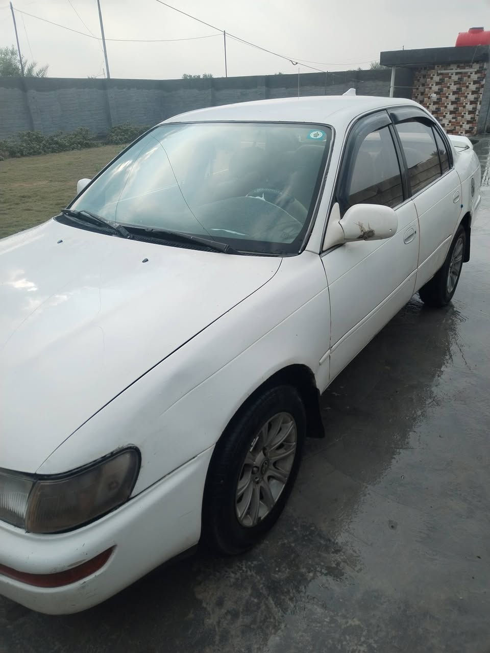 كورولا موديل ٩٣ رقم دولي بغداد بااسمي تحويل ثاني يوم تحوير إماراتي دشبول اصلي صبغ في بعض الإماكن السعر ٥٥ سياره جهازه تدفئه وتبريد اناره داخليه كهربائيات شغاله كله الاتصال على الرقم ***********
