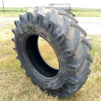 طاير دراسه حجم 18 على 30 السعر 300 الف  بمجال نصف عمره   07518690032  ...