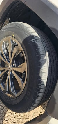 راف فور اكس ال اي • ٢٠٢٣ • ٥٦ الف