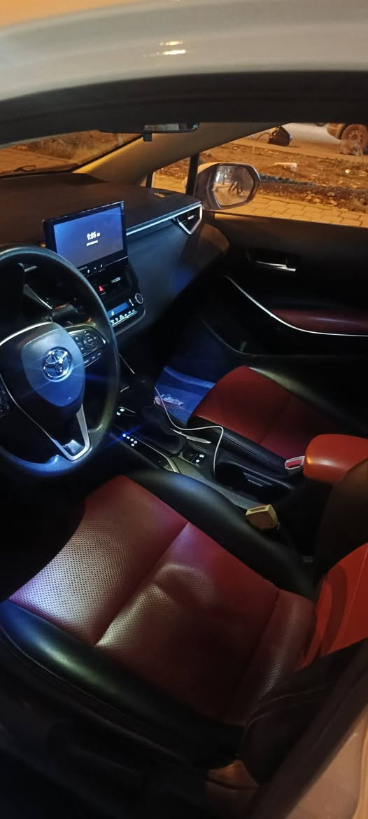 توێتە کروڵا هایبرید شکل خەلیجی فوول فوول ناو سۆر تەنها دوو پەنجە ساردی هەیە نیشان کرایە باقی هەموو گیانی بەشەرت نرخی152مەجالێکی زۆر کەم  شوێن هەولێر ***********
*********** أربيل, العراق
