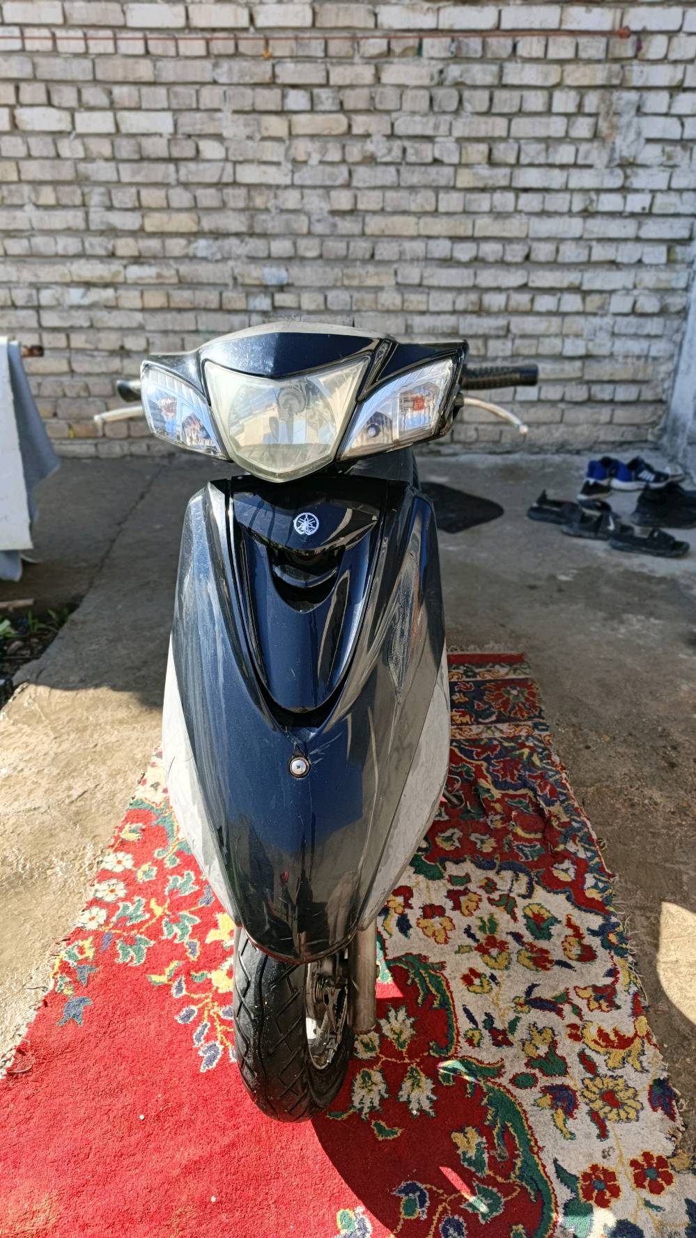 دراجة بريز ببغاء كفالة عاملة  مكاني بغداد الكرخ