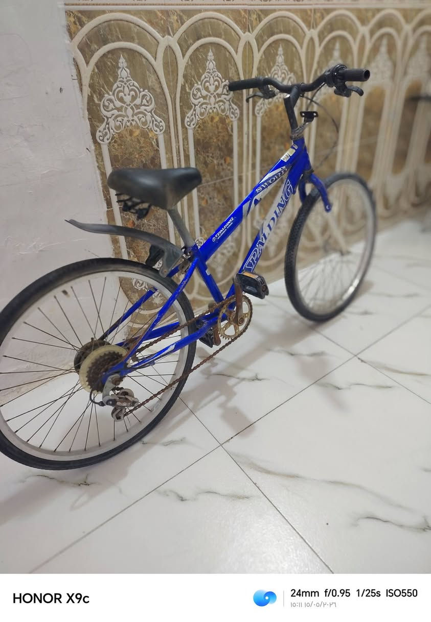 باسكل للبيع
النوع :اكسل

​📍 المكان: الناصرية - حي الشهداء.

💰 السعر: 50 ألف قفل


**إذا كنت صاحب هذا الإعلان وتريد حذفه لأي سبب، رجاءا أرسل رسالة إلى الدعم الفني**