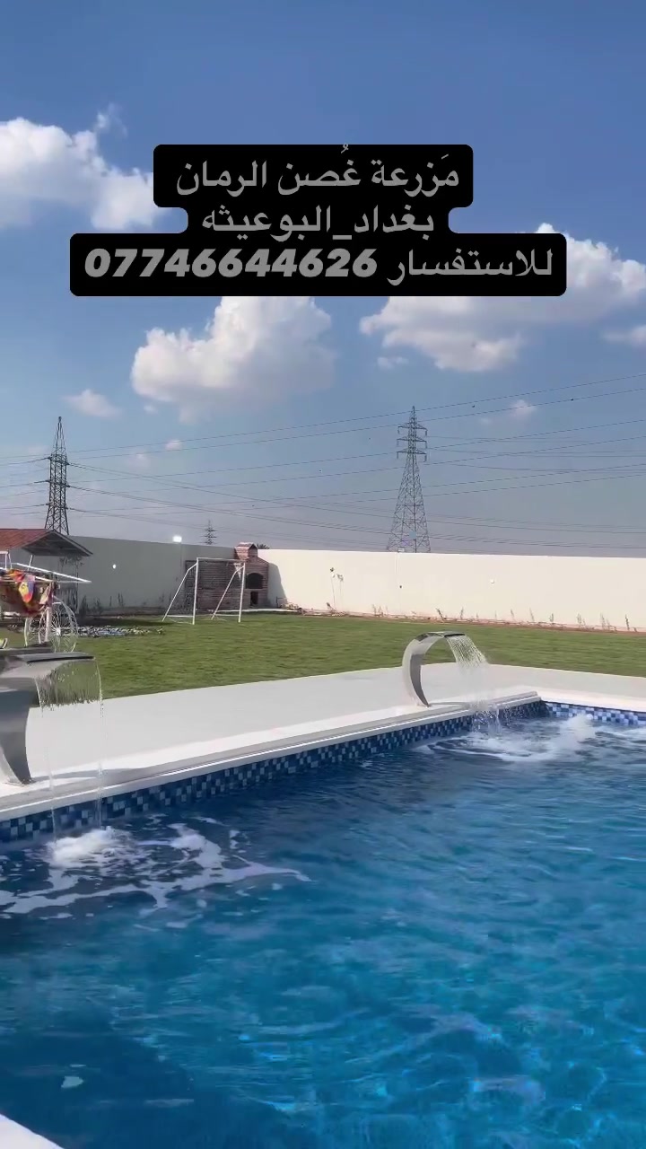 مزرعة غصن الرمان 🏡في البوعيثة
يتوفر حجوزات🩵

من يوم الاحد الى طيلة ايام الأسبوع 

للاستفسار
***********

***********
