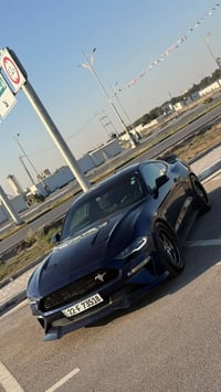 موستانغ • ٢٠٢٠ • رقم اربيل