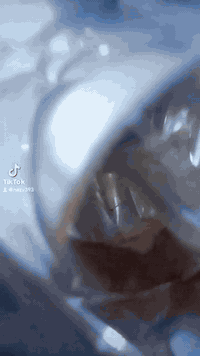 السلام عليكم السلام عليكم دراجه ما مفتوحه ماكس منغولي حربي مكينه ناعمه وحلوه دراجها دراجه نظيفه وحلوه وناعمه السعر مناسب 550 وبيها مجال دراجه نظيفه وهذا الرقم اللي يحب  يتصل على هذا الرقم على الواتساب على الخط عادي***********
