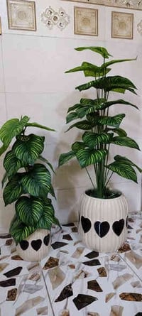 ورد زينة • ألوان زاهية • بيج اضواء كربلاء