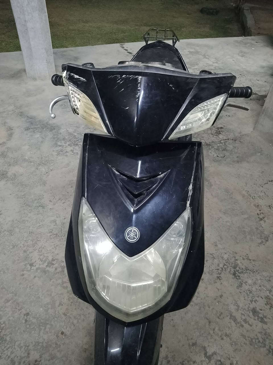 لبيع سكنس فحل ***********
