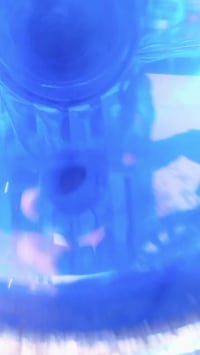 ستوته • فول اكسن • ٢٠١٧