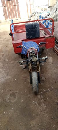 ستوتة دايون • موديل ٢٠١٧ • أوراق أصولي