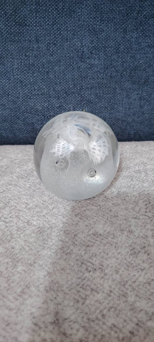 جمال البضاعة.. للباله المنزلي الأوربي.. الأسعار والتفاصيل في الصور.. توصيل كافة المحافظات.. @إشارة


**إذا كنت صاحب هذا الإعلان وتريد حذفه لأي سبب، رجاءا أرسل رسالة إلى الدعم الفني**